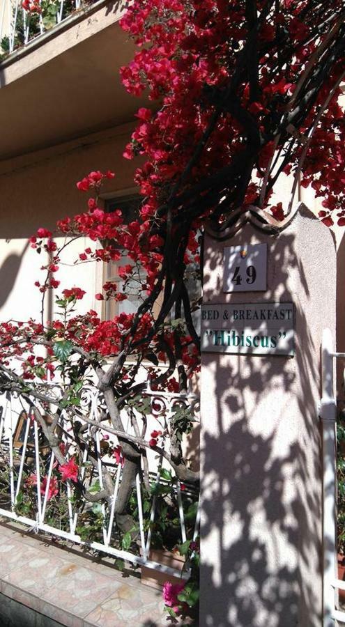 Bed And Breakfast Hibiscus อาลเกโร ภายนอก รูปภาพ