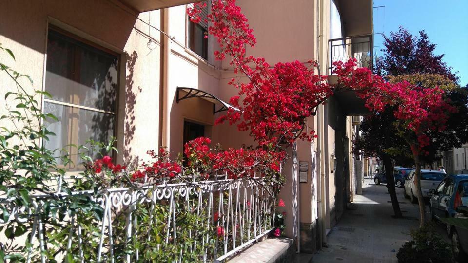 Bed And Breakfast Hibiscus อาลเกโร ภายนอก รูปภาพ
